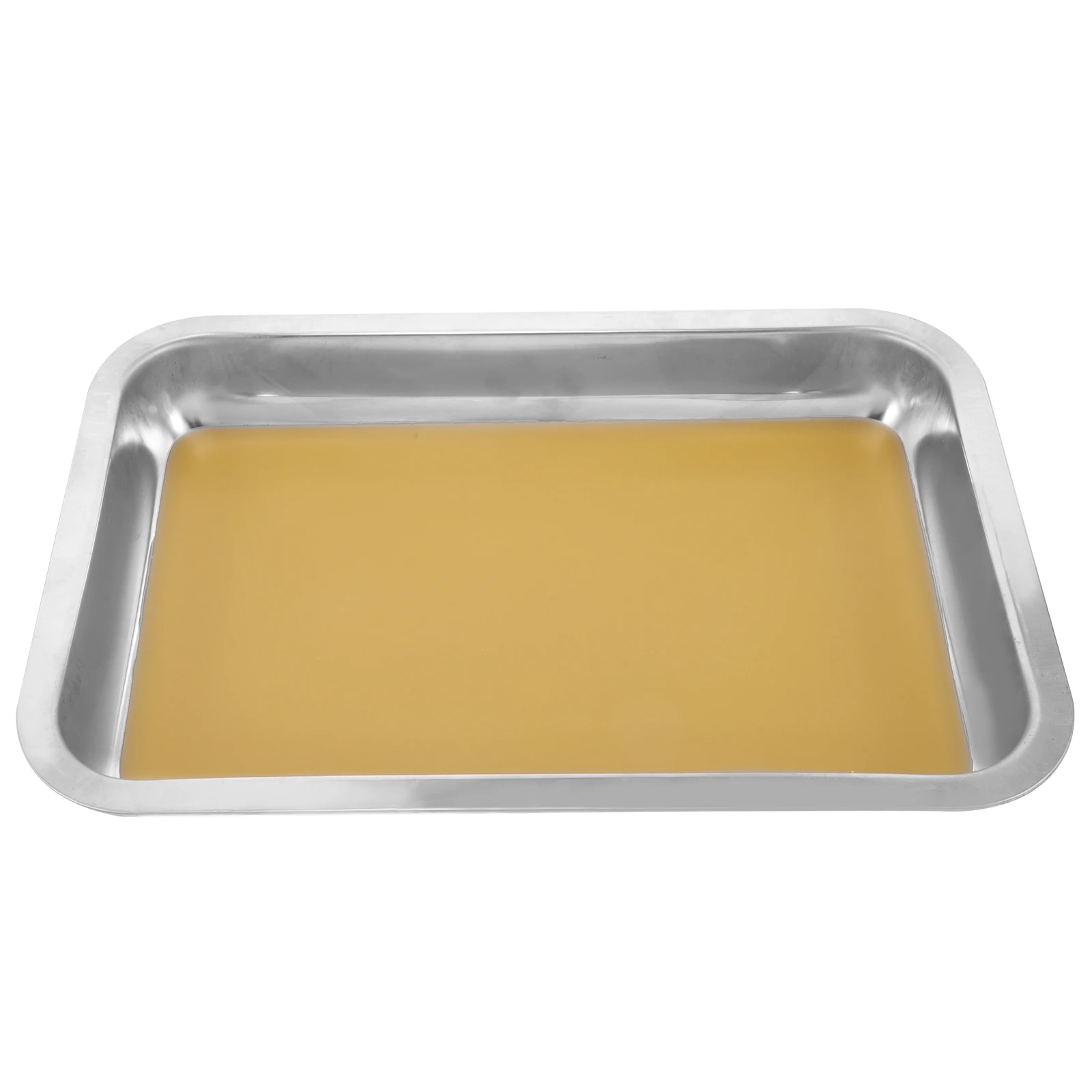 Wax Anatomy Tray Stainless Steel Dissecting Plate Tableware Metal Dissection Child Instrument