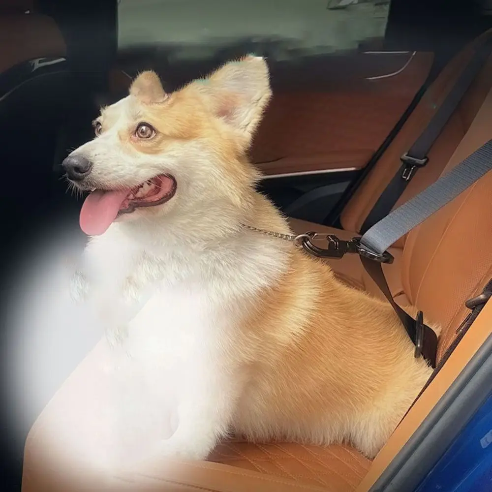 Anti-interference Pet Safety Buckle Sustainable Durable Pet Travel Car Seat Hook Easy to Use Dogs Locking Snap Seat Belts