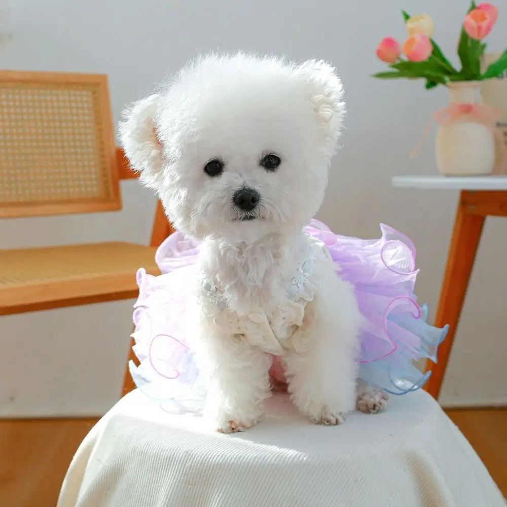 

Elegant Exquisite Dreamy Yarn Skirt Breathable Cute Pet Princess Dress Soft Dog Skirt Spring/Summer