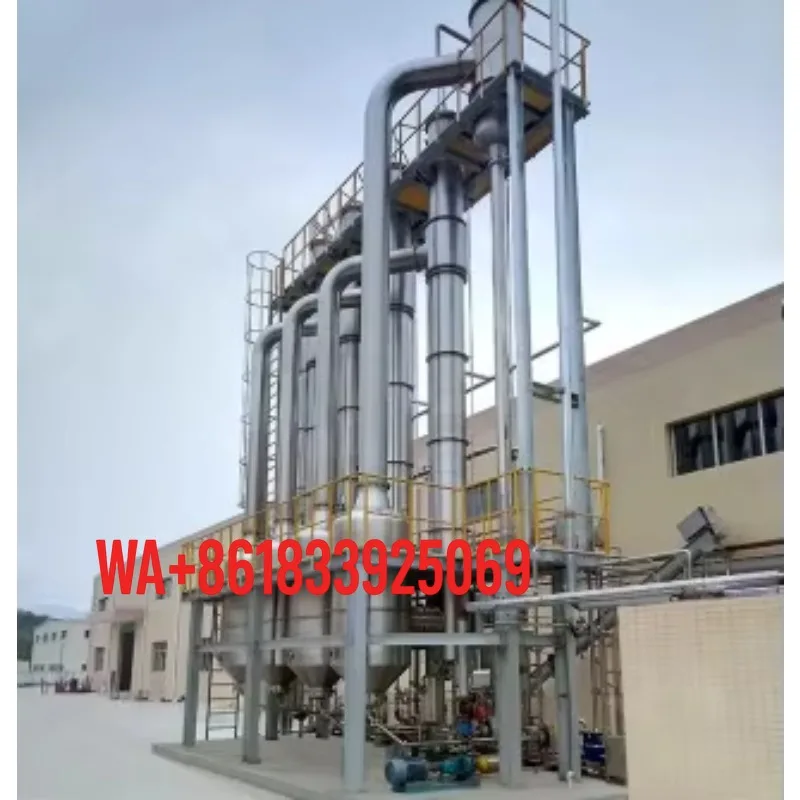Raspberry Processing Line Automated Production System for Juice Beverage Puree Washing Crushing Enzyme Treatment Filtration