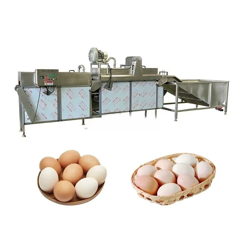 Santex Dryer: Which Model Actually Fits Your Fabric and Production?