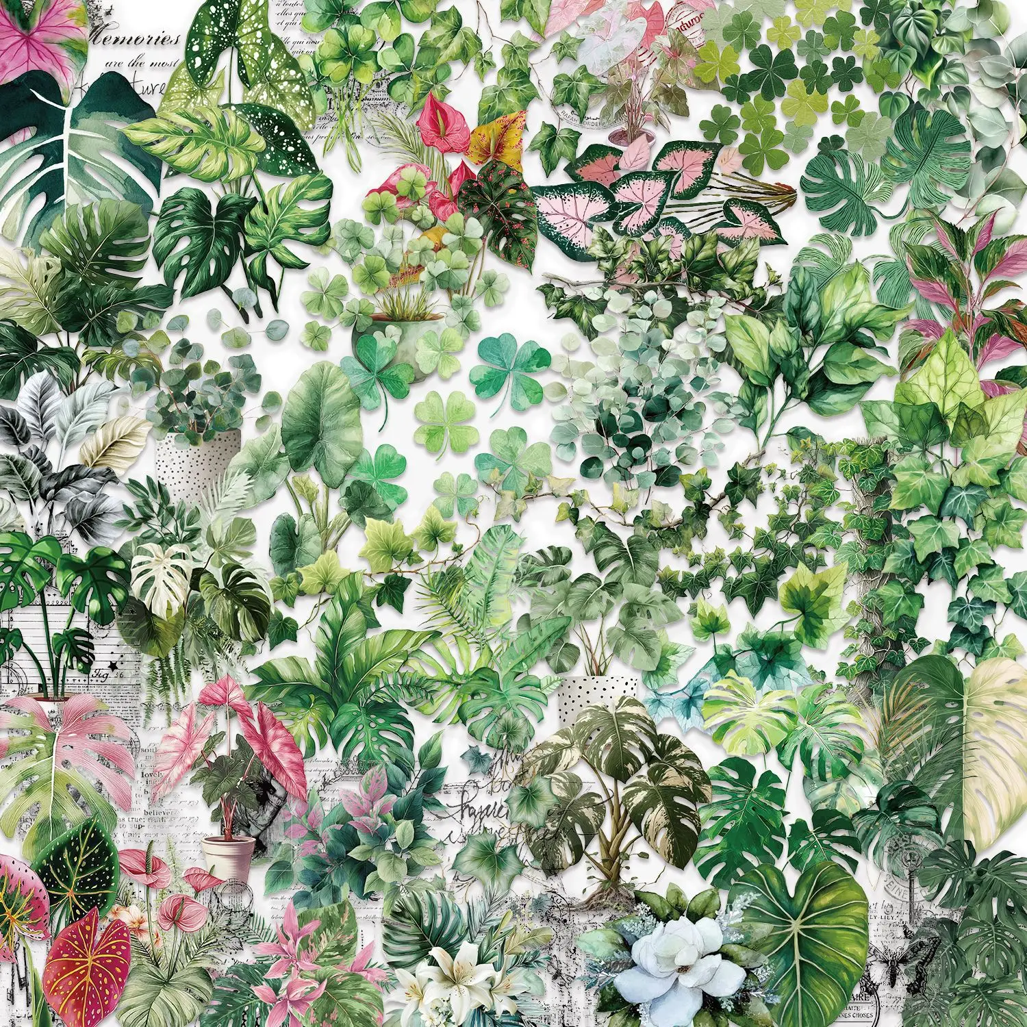 50Pcs Green Plant Leaf Transparent PET Stickers Waterproof Decals for Laptop Journal Water Bottle Scrapbook DIY Craft
