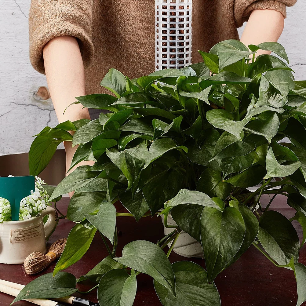 

Moss Column Climbing Plant Support Poles Decorative Garden Trellis Plastic Moss Pole Vine Support Creative Rack