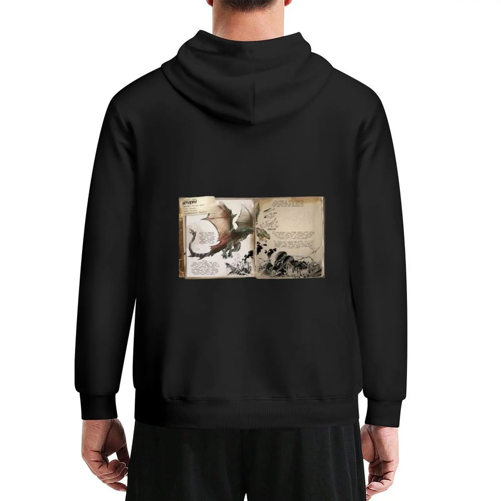 

ARK WYVERN Hoodie korean autumn clothes men's sweat-shirt anime clothes korean clothes hoodie streetwear