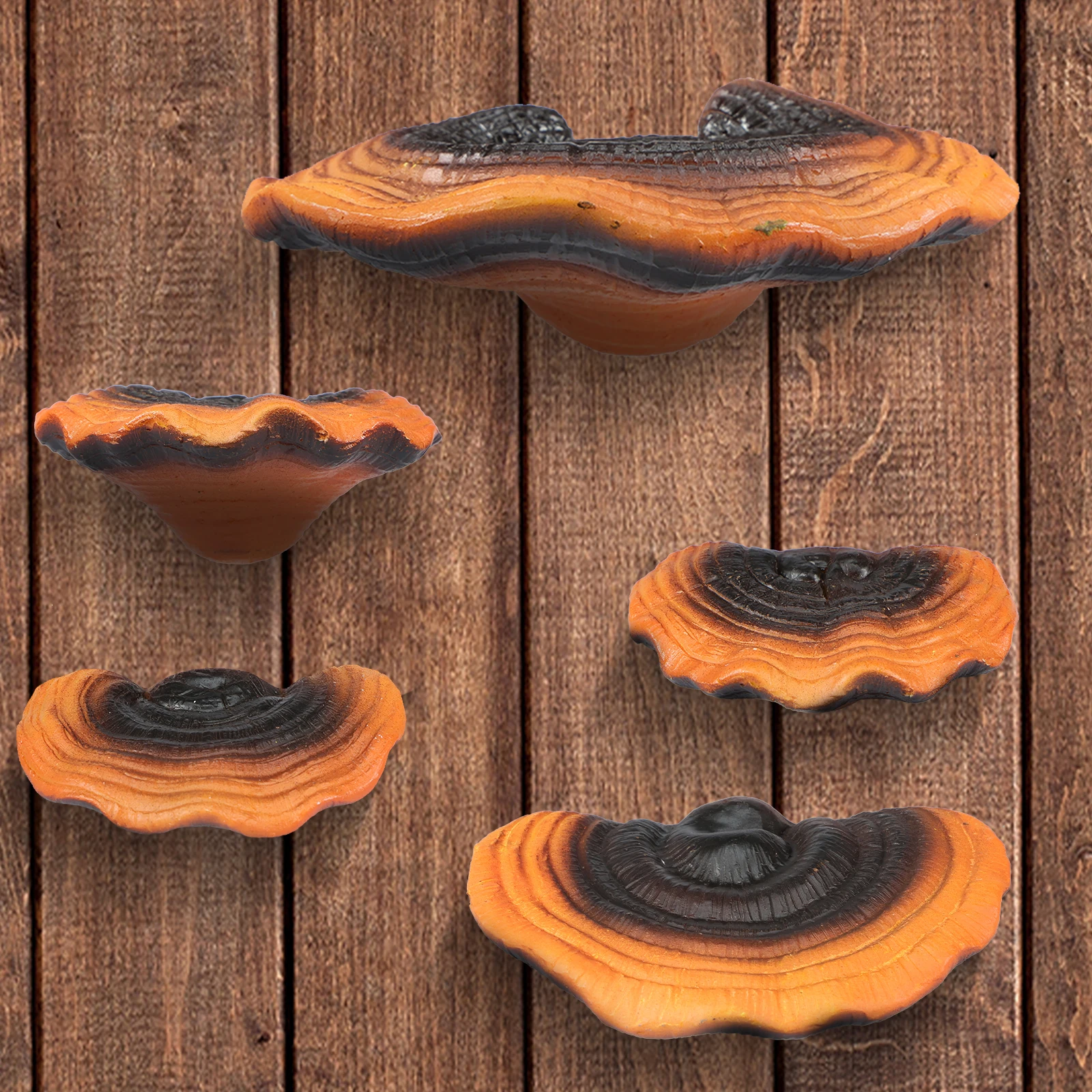 5 Stück Pilzregale Harz Pilz Regal Wanddekoration Wandbehang Gothic Home Wanddekoration Raumdekoration Ästhetischer Fantasy Pilz