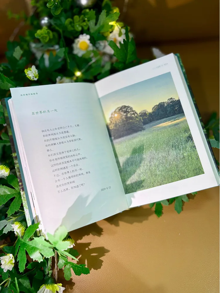 Book-Winshare Notes on Long Island
