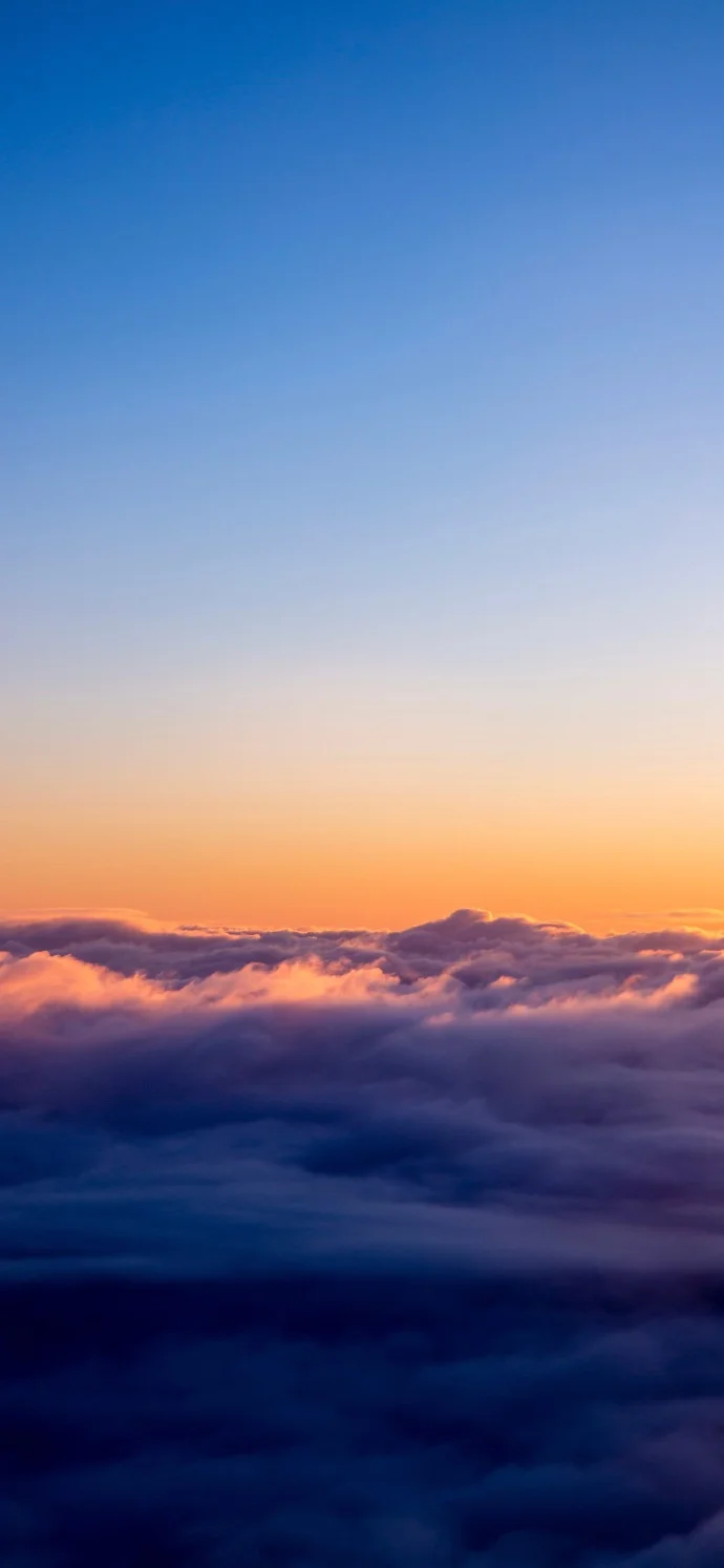 

2300ml Handheld Glass Wrapped Slightly Drunk Fruit Wine Cup Cocktail Cup Cocktail Tool