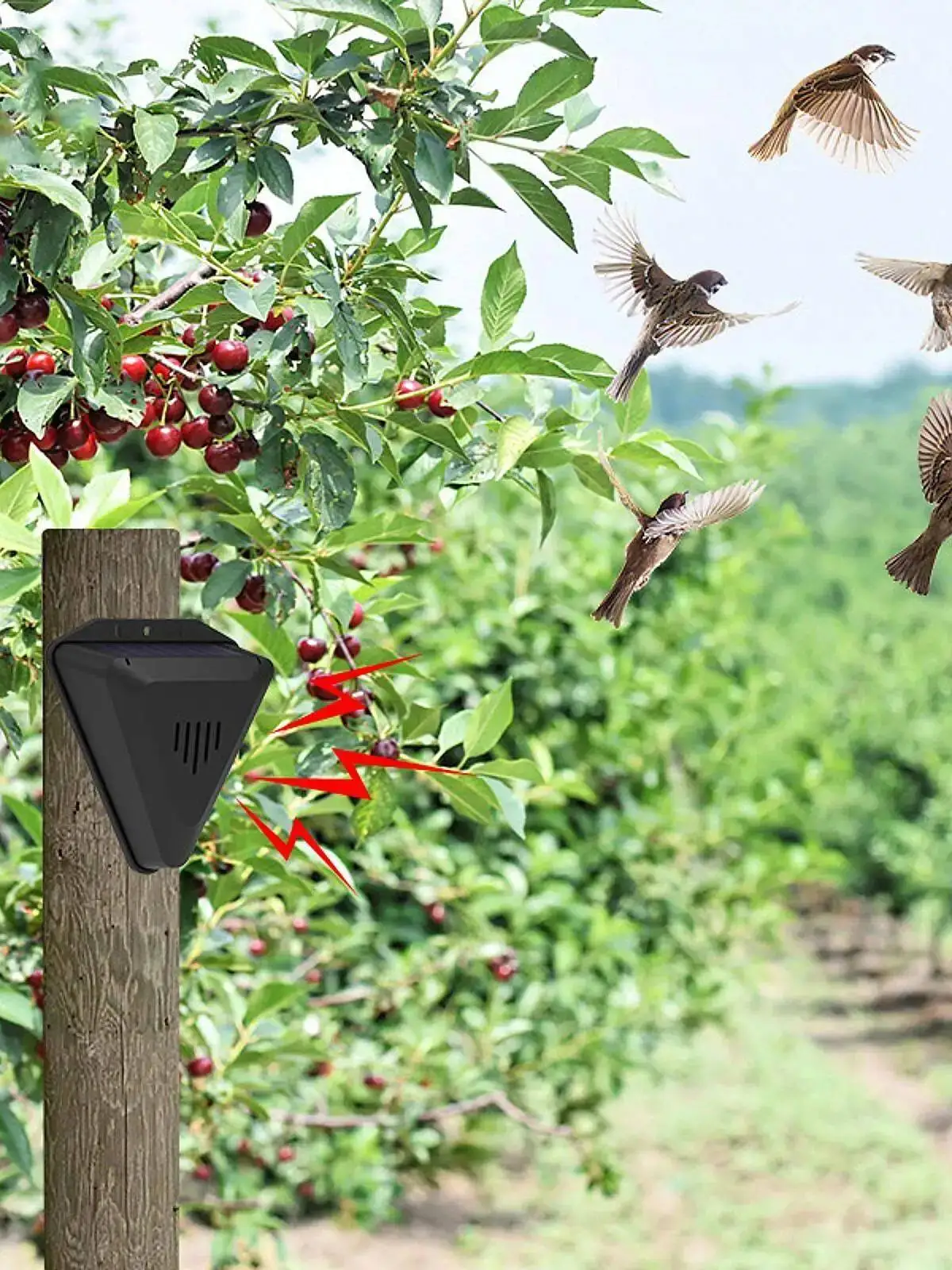 効果的な鳥よけ装置-ip55防水鳥よけ装置-ノーブランド登録商標-kh98836-20年以前