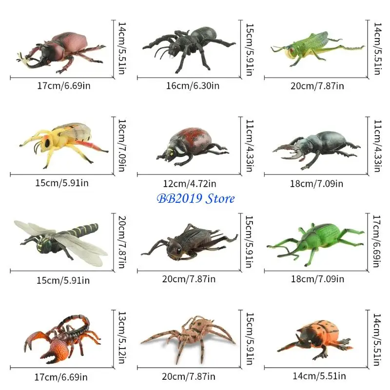 Q0KB แมลงที่สมจริงตัวเลขสำหรับการสอนสัตว์ Anatomy ห้องเรียนสาธิตของเล่น