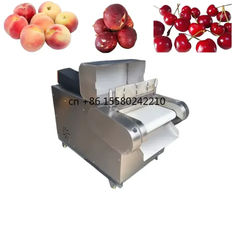 2026 hot High Quality Dried Fruit Processing Line Machine Fruit Punching Piercing Machine for Efficient Production