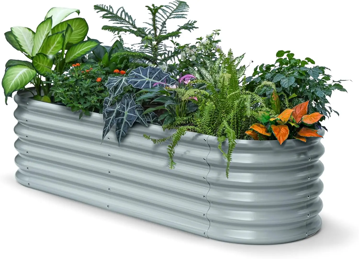 

6x2x1 18" tall Galvanized Metal Raised Garden Bed for Plants, Vegetables, Herbs