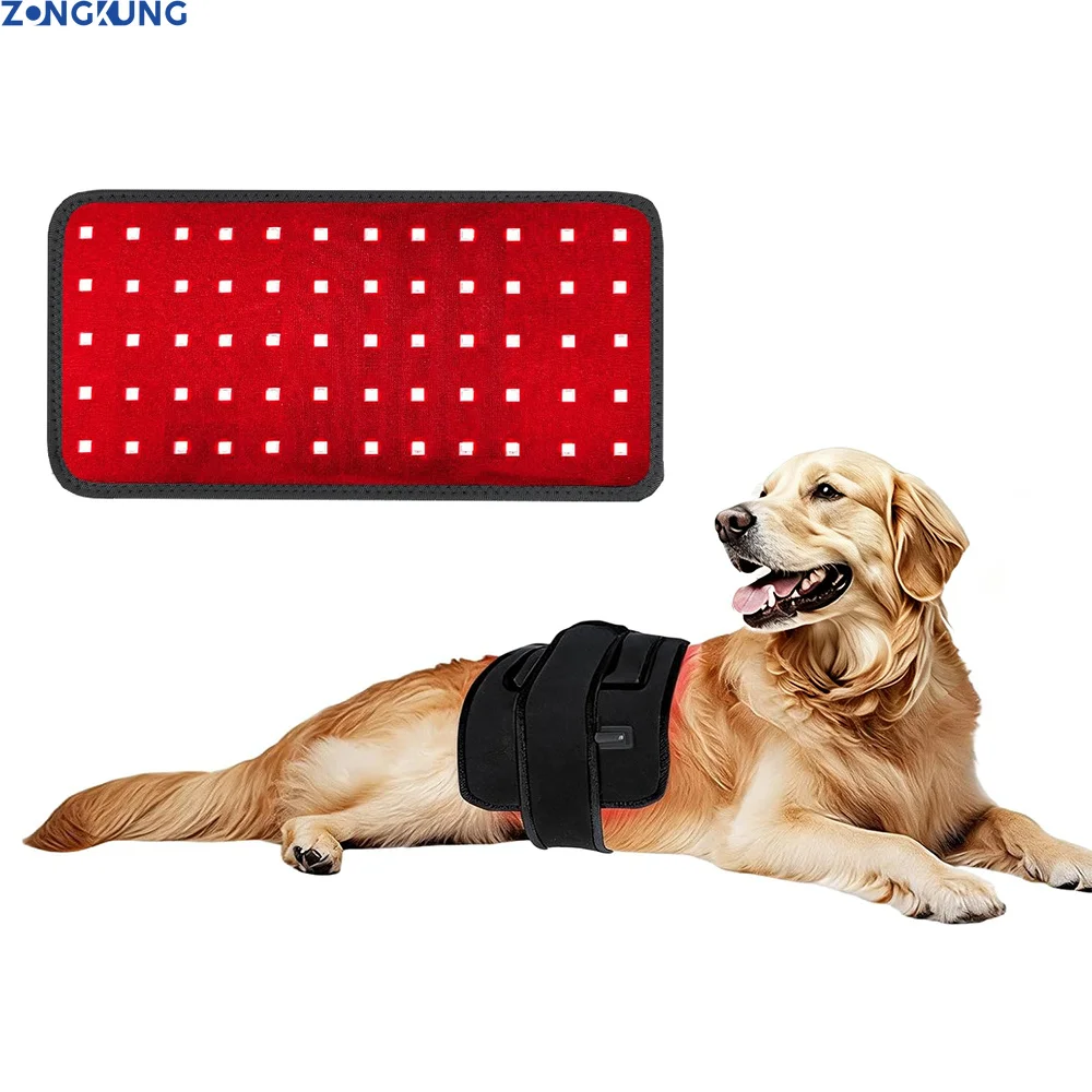 dispositivo-di-terapia-a-luce-rossa-per-alleviare-il-dolore-fisioterapia-a-infrarossi-per-cani-gatti-e-animali-domestici-trattamento-per-uso-domestico
