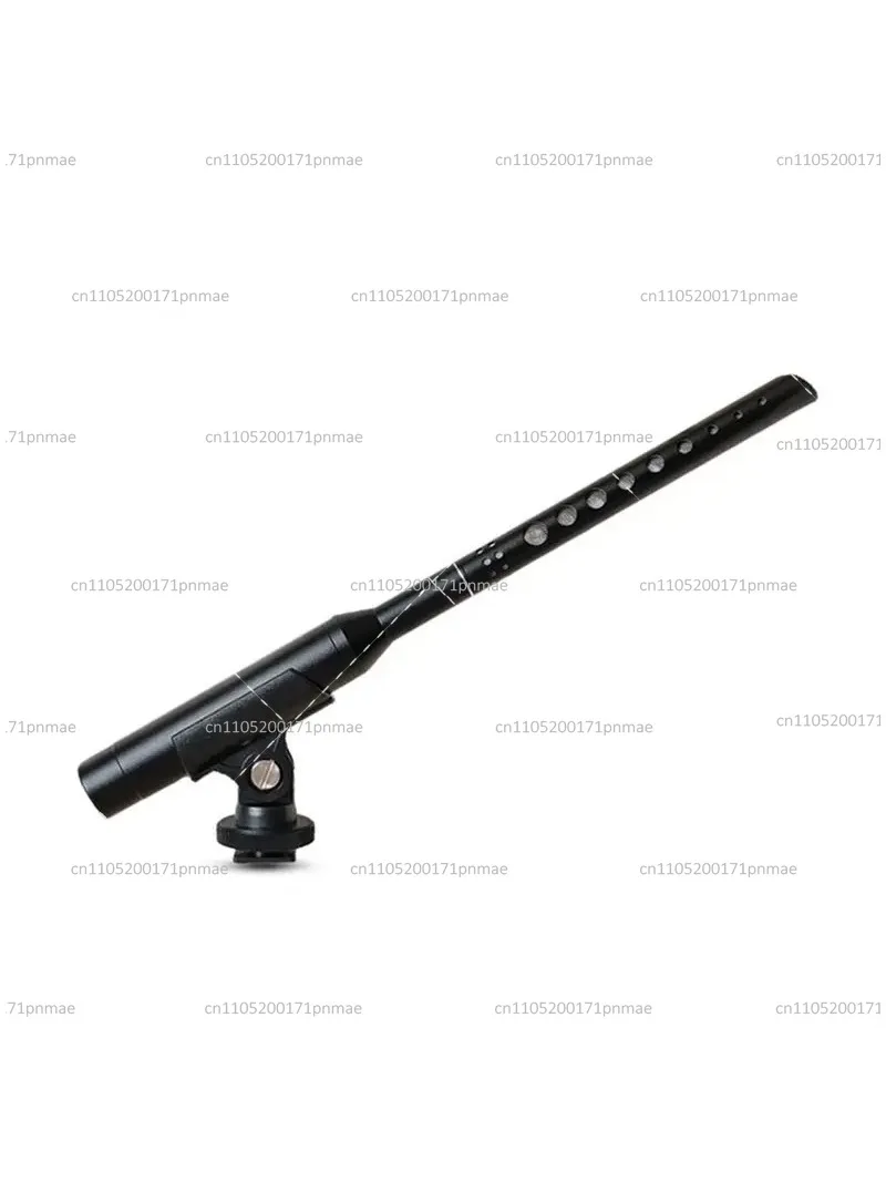 Professional Hanging Condenser Microphone for Recording Studio, Teaching, School Chorus, Speech, and Multimedia Use
