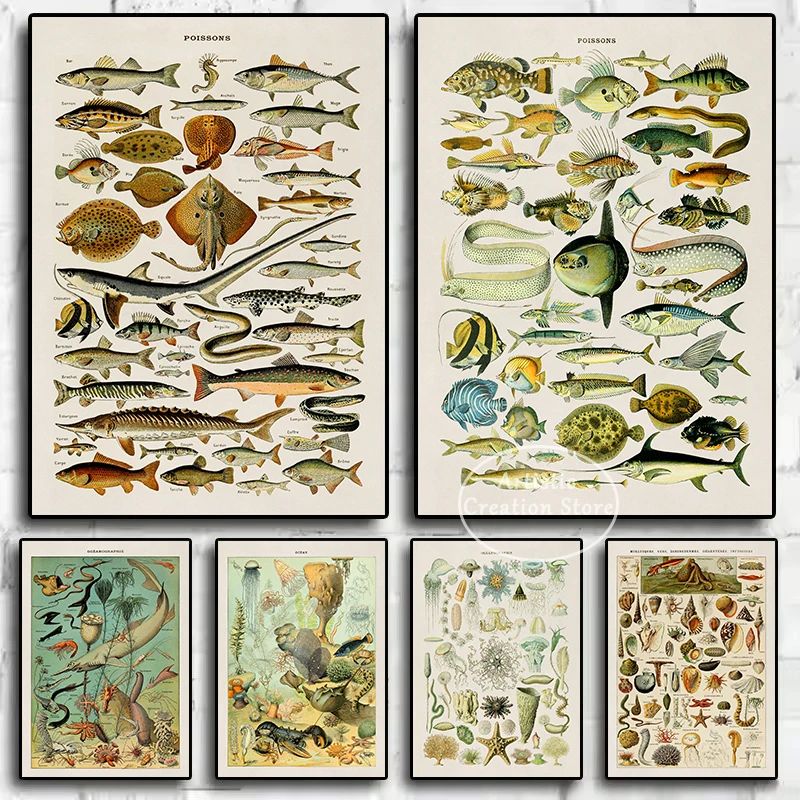 Vintage Marine Life Fish Species Ocean Biology Chart Poster Nautical Sea Life Canvas Painting Wall Art Pictures Home Decor