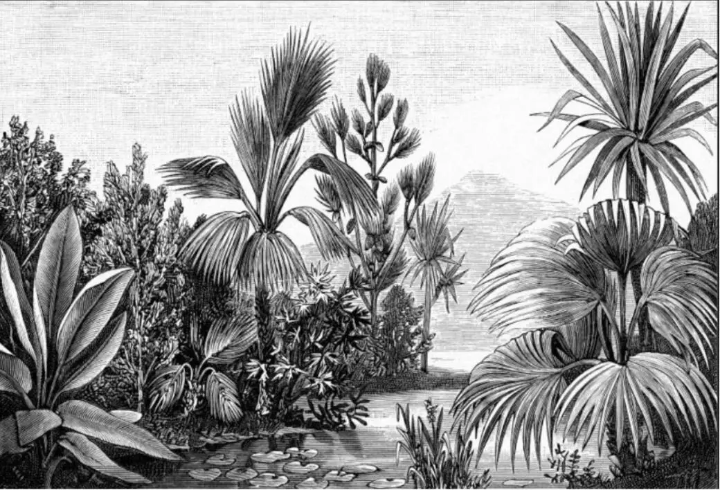 Customized wallpaper mural hand-painted tropical rainforest black and white plant bedroom background 8d wallpaper photo wall