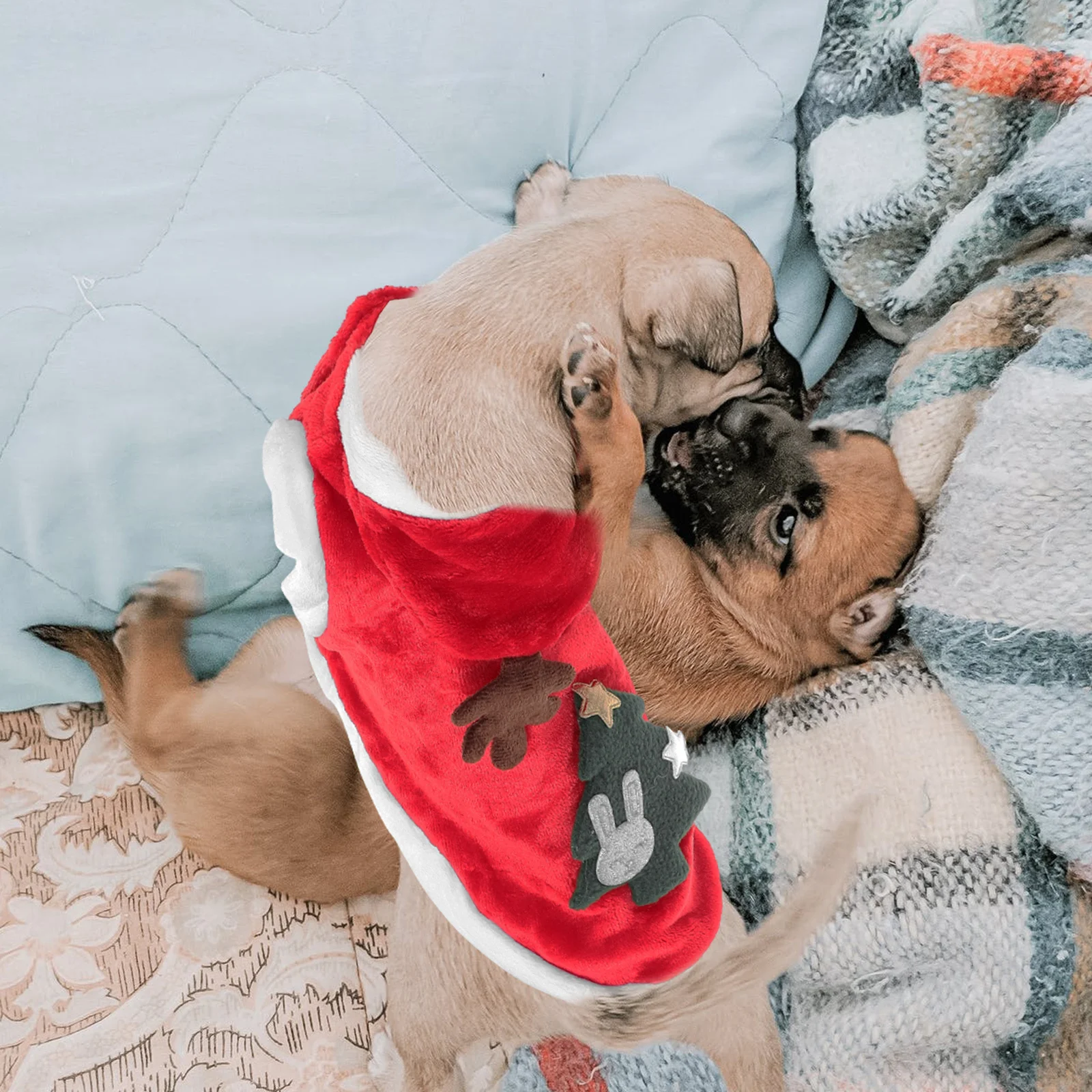 

Dog Cat Costume Comfortable Flexible Material Suitable for Special Occasions Photos Christmas Style Pet Clothing