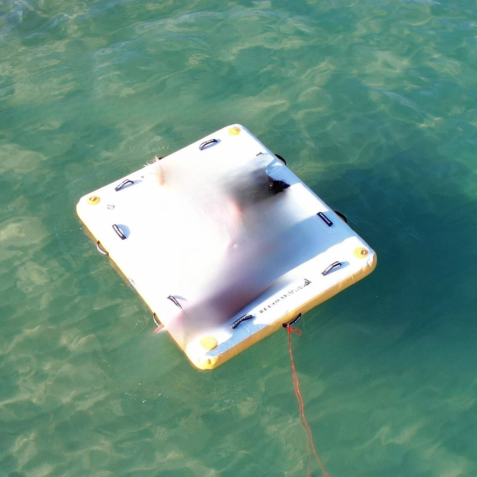 Carpet Inflatable Water Fishing Floating Table Platform Floating  Large