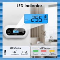 AT53 Carbon Monoxide Detector Alarm, Portable 10-Year Battery CO Alarm With Digital LCD Display, For Home, Office And Travel