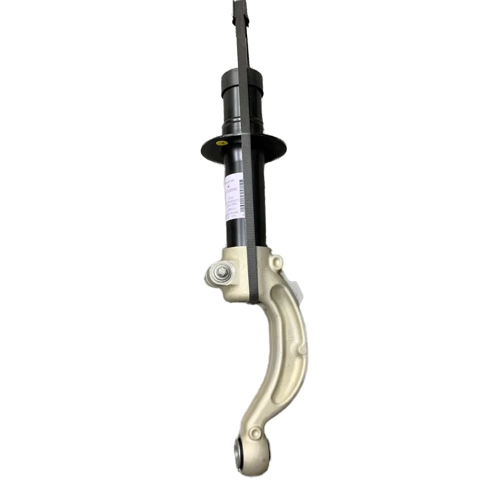 China car shock absorber 670008960 & 670008970