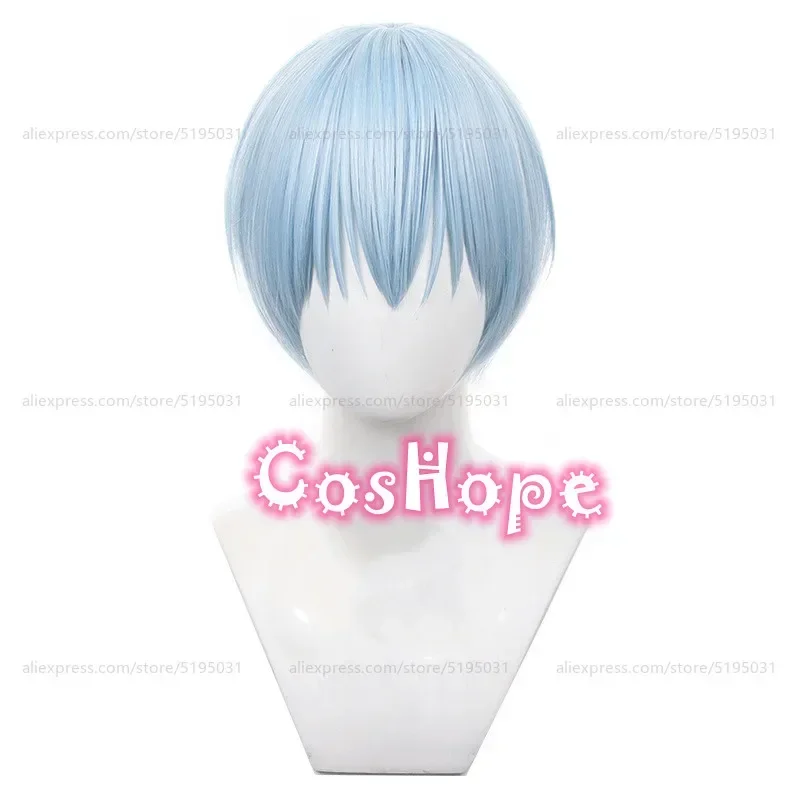 Sky Cosplay Wig 30cm Short Blue Wig Cosplay Anime Cosplay Wigs Heat Resistant Synthetic Wigs Halloween
