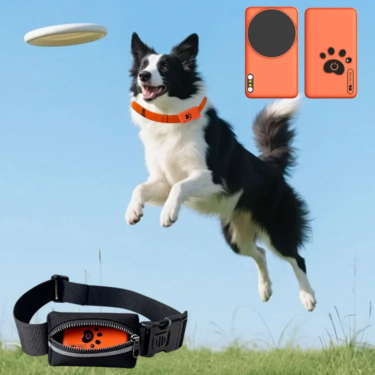 

Small Smart Waterproof Pet Activity Tracker Dog Cat Health Waterproof Collar