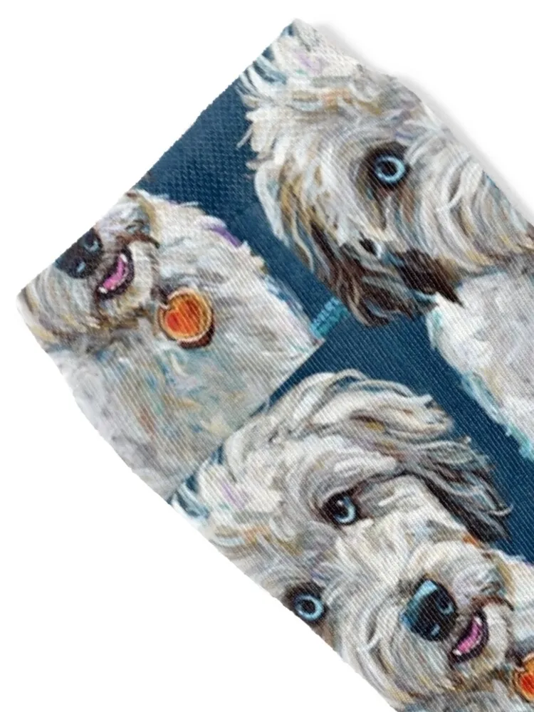 Cute Blue Eyed Aussiedoodle Socks winter thermal anti-slip New year's cotton Women's Socks Men's
