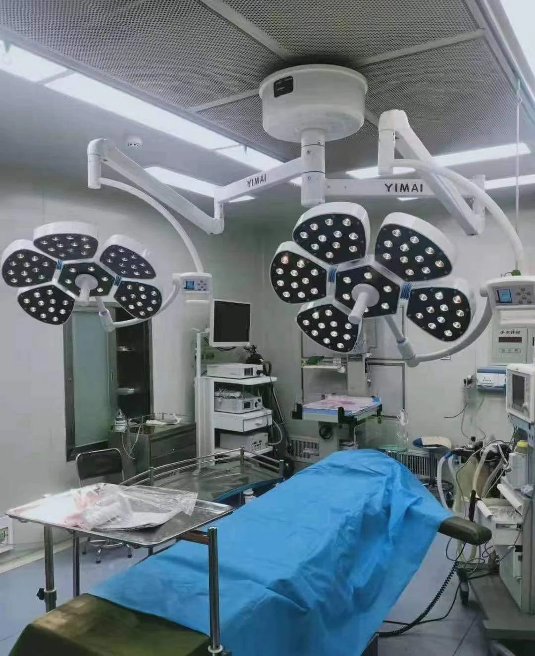 Yishanghe D5/5 Surgical Shadowless Lamp for Animal Clinic