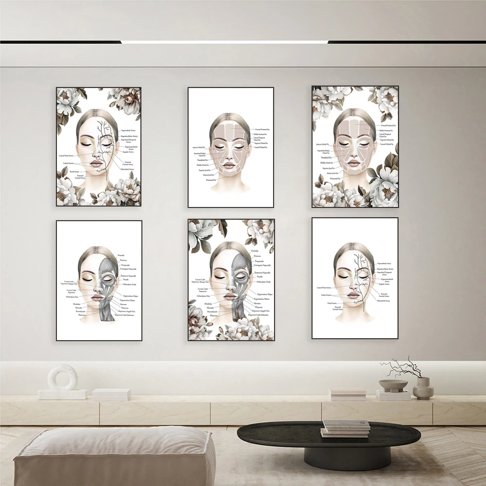 Facial anatomy, facial muscles and veins, massage therapist, botox poster, beauty syringe art, spa clinic beautician decoration