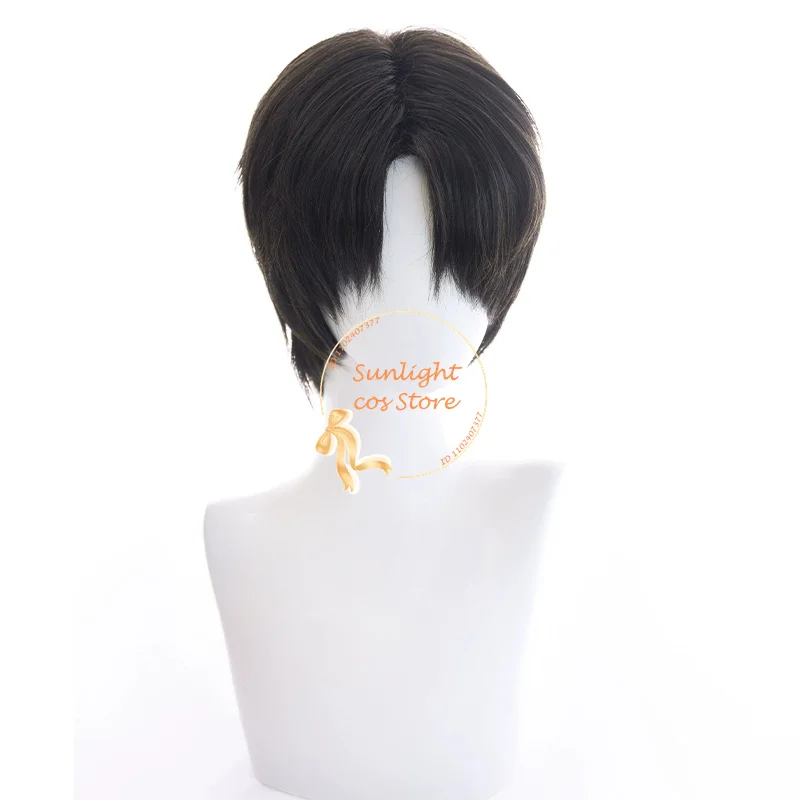 Anime Levi Ackerman Cosplay Wig Levi 30cm Short Black Brown Wigs Heat Resiatant Synthetic Hair Halloween Wigs