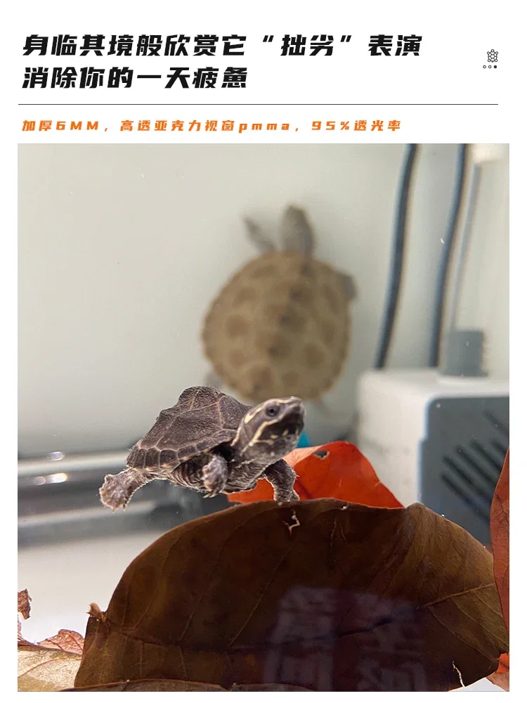 Countercurrent fish black household desktop living room rearing tank turnover box turtle ecological special tank hair color box