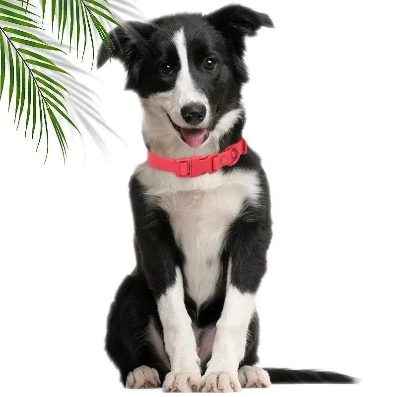 Neues Macaron-farbiges PVC-Hundehalsband, wasserdicht, schmutzabweisend, leicht zu reinigen, Haustierhalsband, verstellbares Halsband, Haustier-Hundehalsband – Detail 12