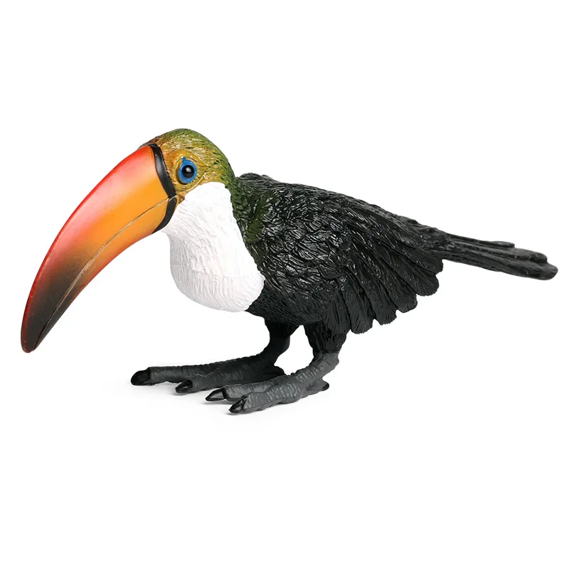 Simulation animal model solid wild bird animal world toucan toucan parrot children's toy ornaments