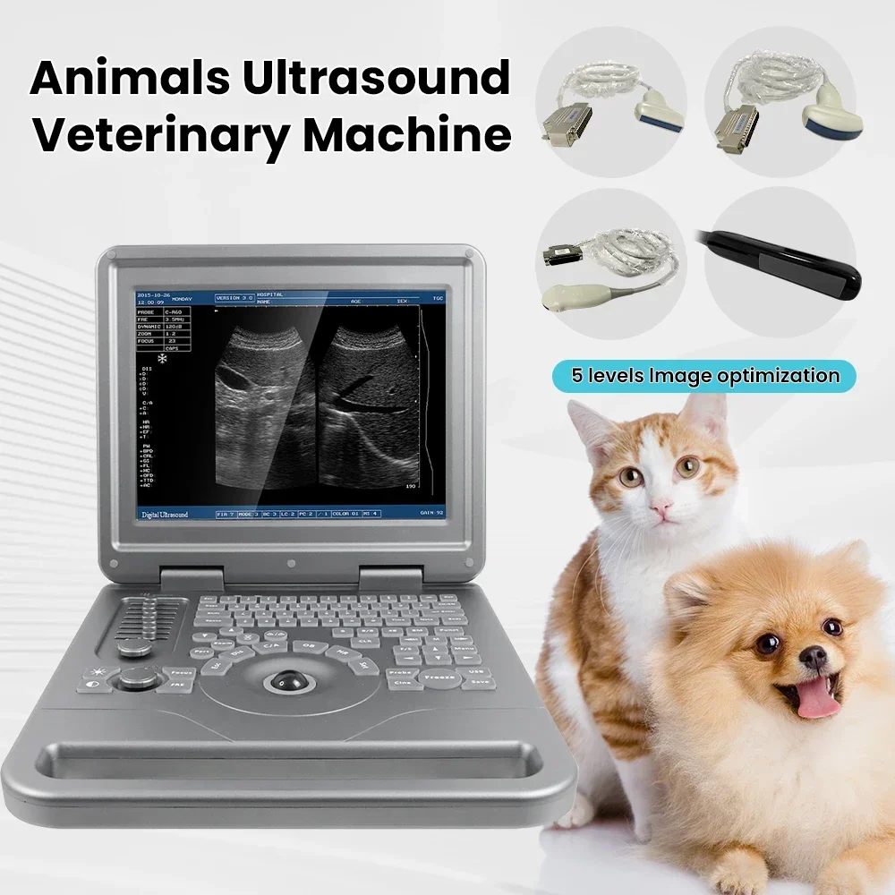 

SC40 Vet Veterinary Digital B-Ultrasound Doppler Diagnostic System Pet Pregnancy Scanner Probe Health Screening Machine