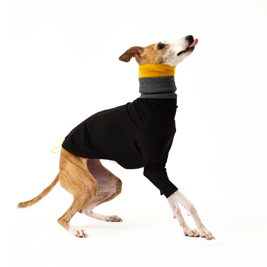 Multicolored Detachable 2-legged Clothes for Italy Greyhound Wellington Autumn Thick Warm Fashion Sweatshirt for Whipbit