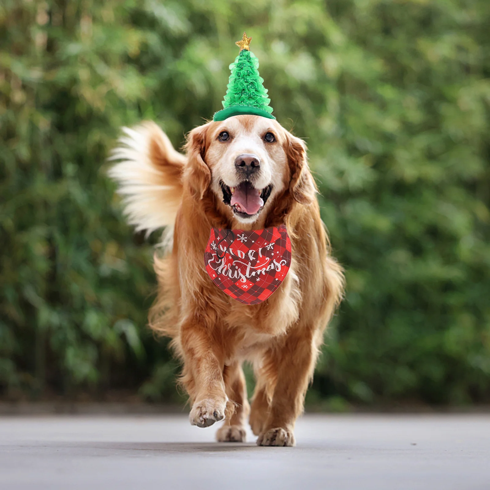

1Set Christmas Pet Hat and Bandana Soft Comfortable Xmas Dog Bandana Triangle Scarf Holiday Party Costume Christmas Dog Hat