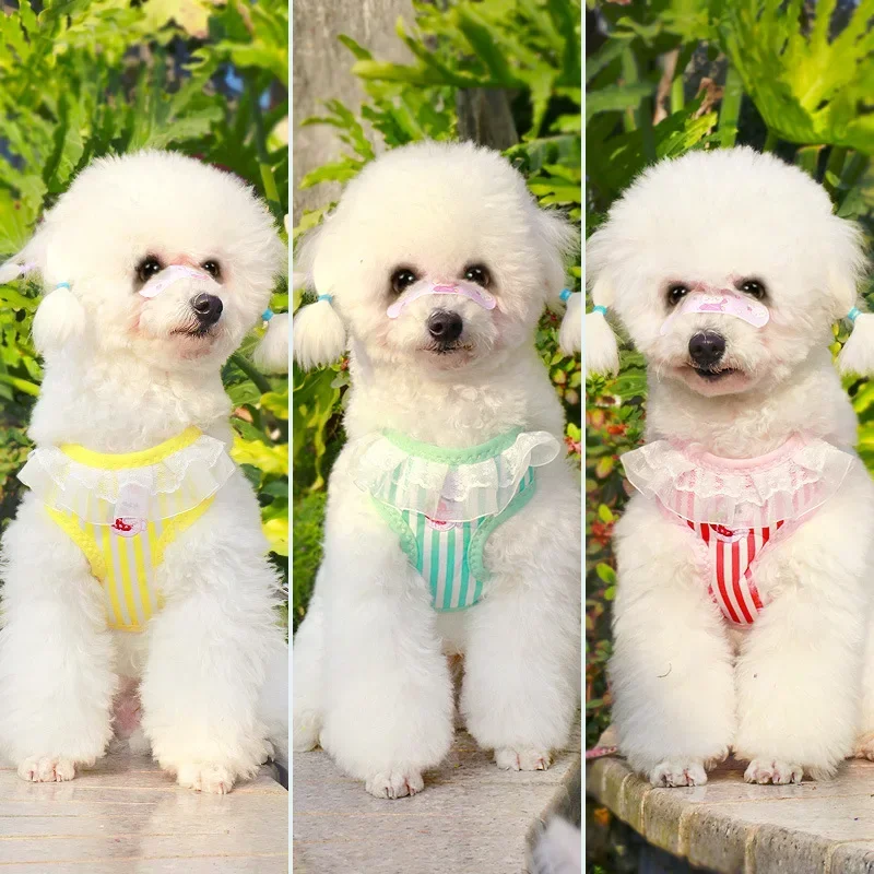 Solid embroidered dog leash chest strap Teddy Bomei pet leash dog leash dog chain pet supplies