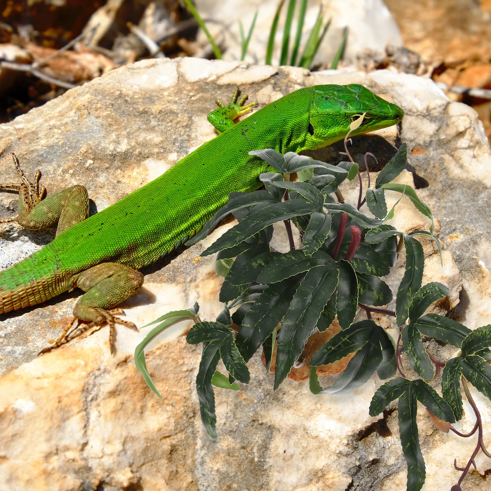 

Simulated Plants for Reptile Box Exquisite Craftsmanship Vivid Color Realistic Decoration Reptile Tank Supplies