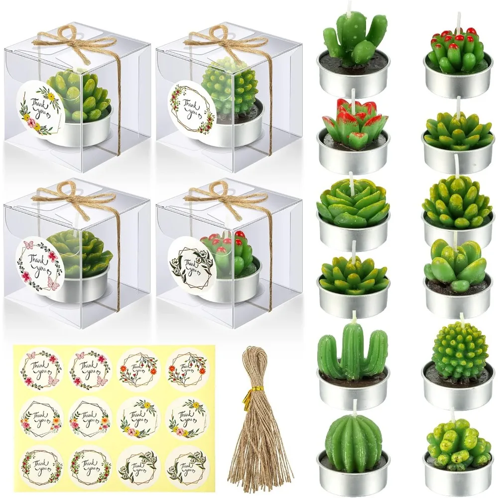 12 Sets Succulent C…