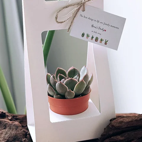 Double Sided Water Proof Kraft Paper Portable Flower Basket Bouquet Handle Carton Creative Bouquet Holiday Gift Wrapping Box