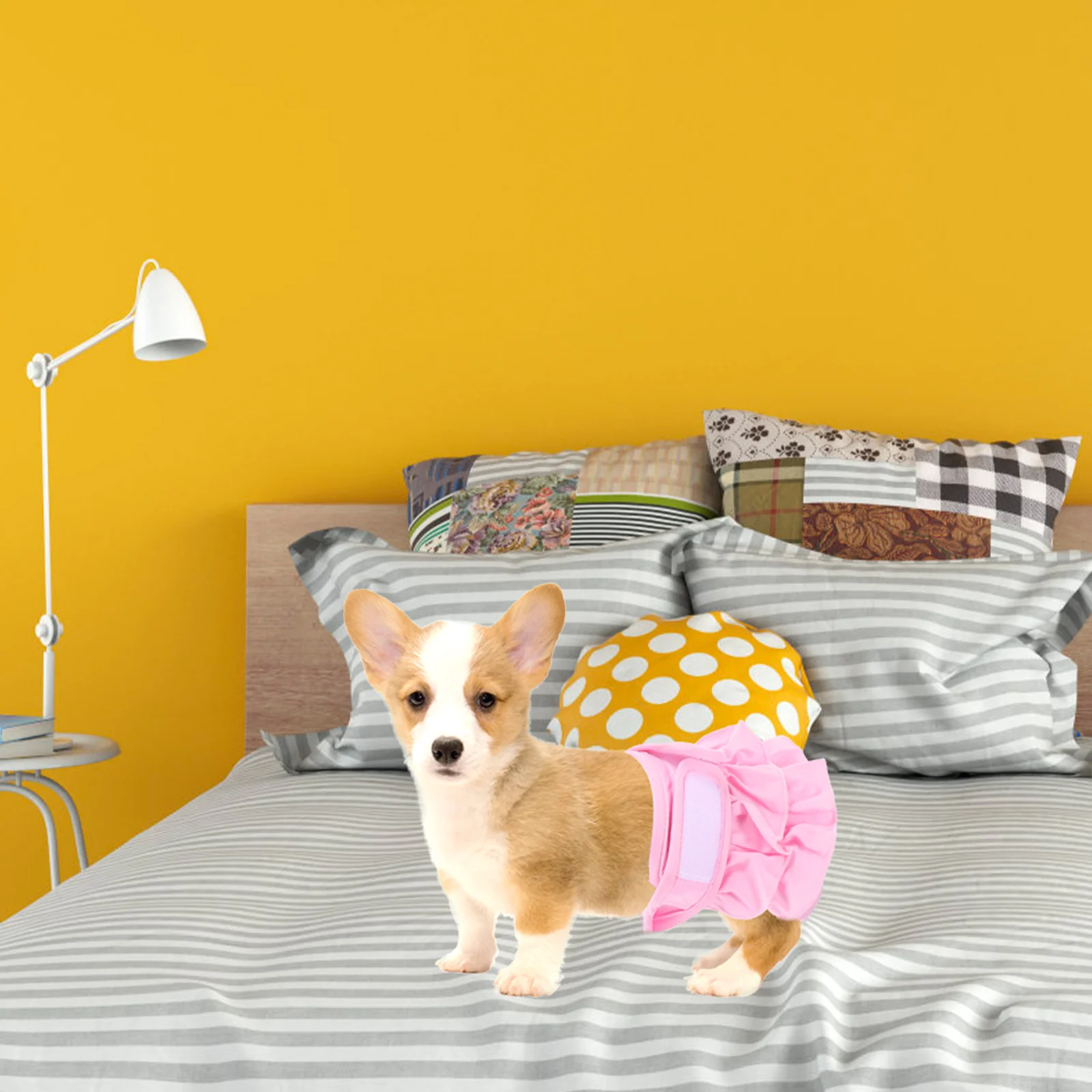 

Pet Physical Pant Reusable Dog Diaper Easy-to-Use Stylish Washable Comfortable for Untrained Puppies Incontinence Indoor Use