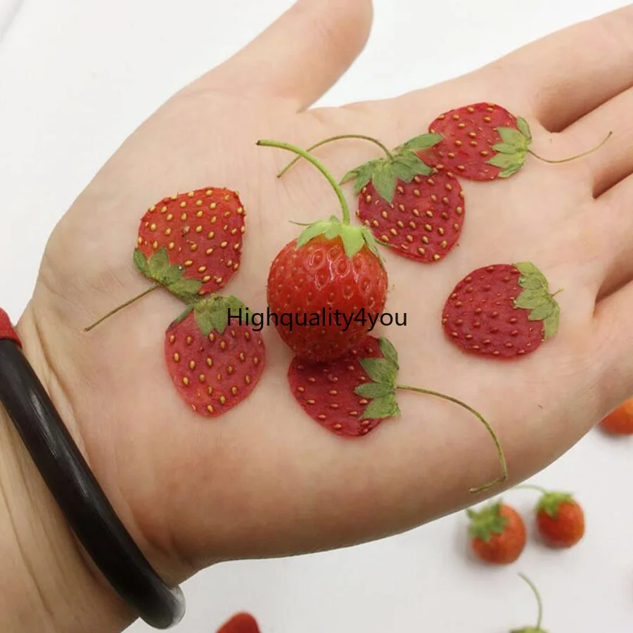 100pcs Dried Pressed Mini Fruit Strawberry Skin Slices Plant Herbarium For Jewelry Photo Frame Phone Case Bookmark Postcard DIY