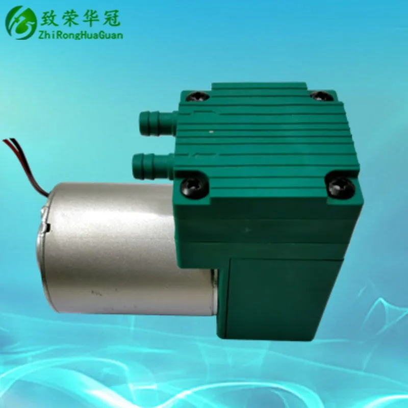 Vacuum pump DC12V Miniature air pump AC110V Small pump DC24V Inflating pump AC220V Beauty instrument negative pressure pump