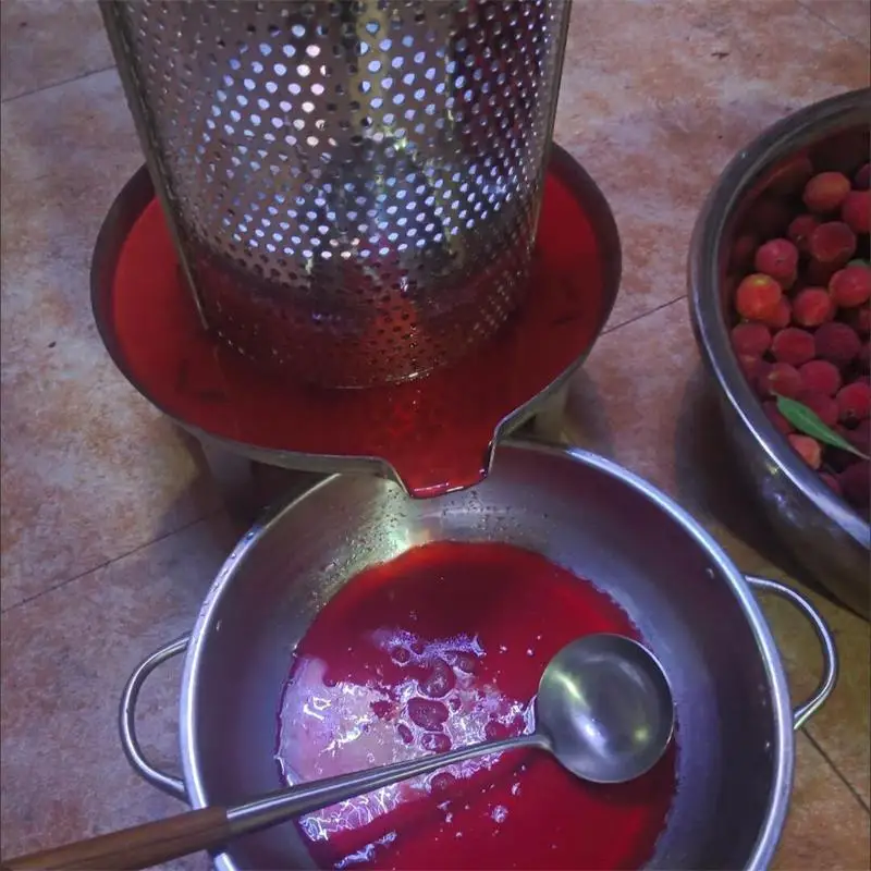 Manual Stainless Steel Fruit Juice Press Squeezer Juicer Extractor Machine Apple Cider Maker Honey Press Machine