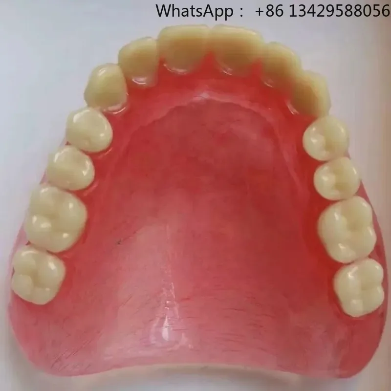 Wholesale full mouth denture sample models and elderly full mouth and half mouth tooth models are available