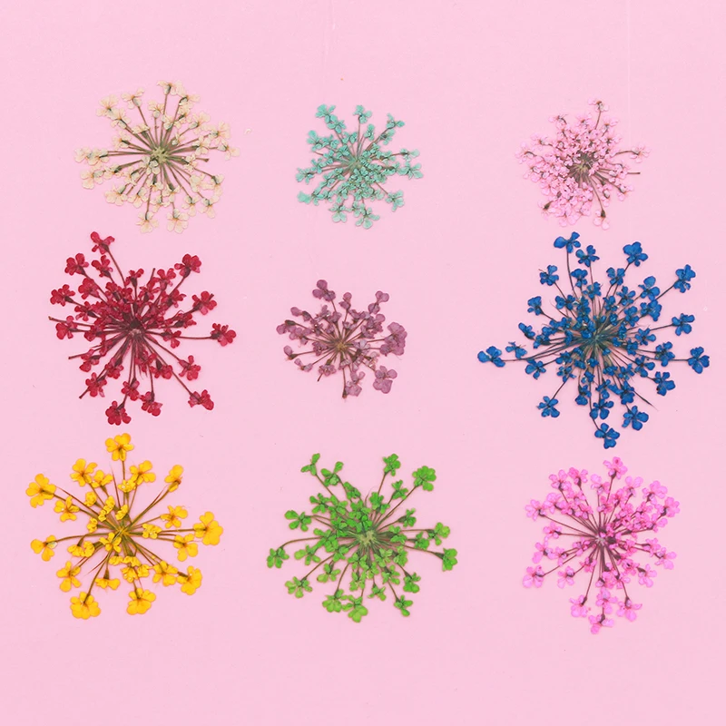 12pcs,Pressed Snow Pearl Lace  - Art Craft 2 Year Olds 评论和价格
