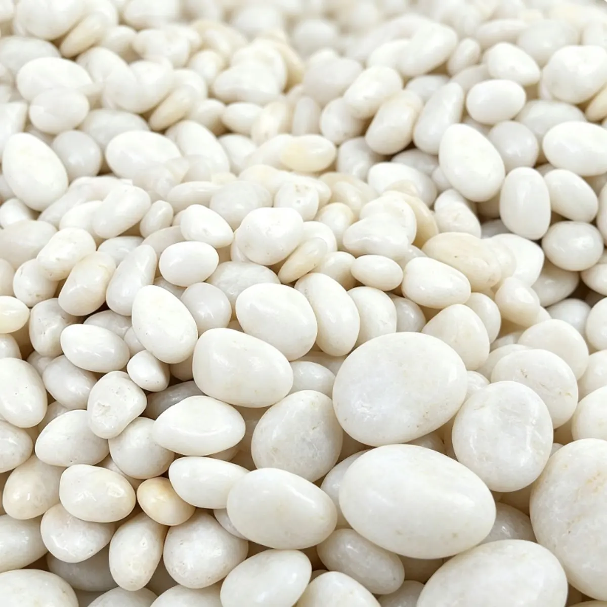 350/700g White Polished River Stones 2 To 4cm, Smooth Pebbles For Courtyard Garden Landscaping And Outdoor Path Decoration ZSY