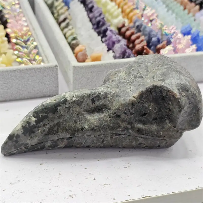 Natural Yooperlite Bird Skull Carving Polished Healing Stones Gemstones For Home DIY Decoration 1pcs