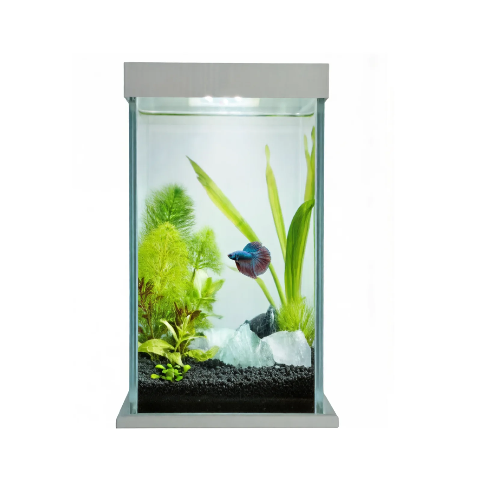 DODO Aqua Glass Betta Fish Tank Starter Kit 1.5 Gallon Small Fish Tank with Timer Dimmable LED Lights 4mm Glass