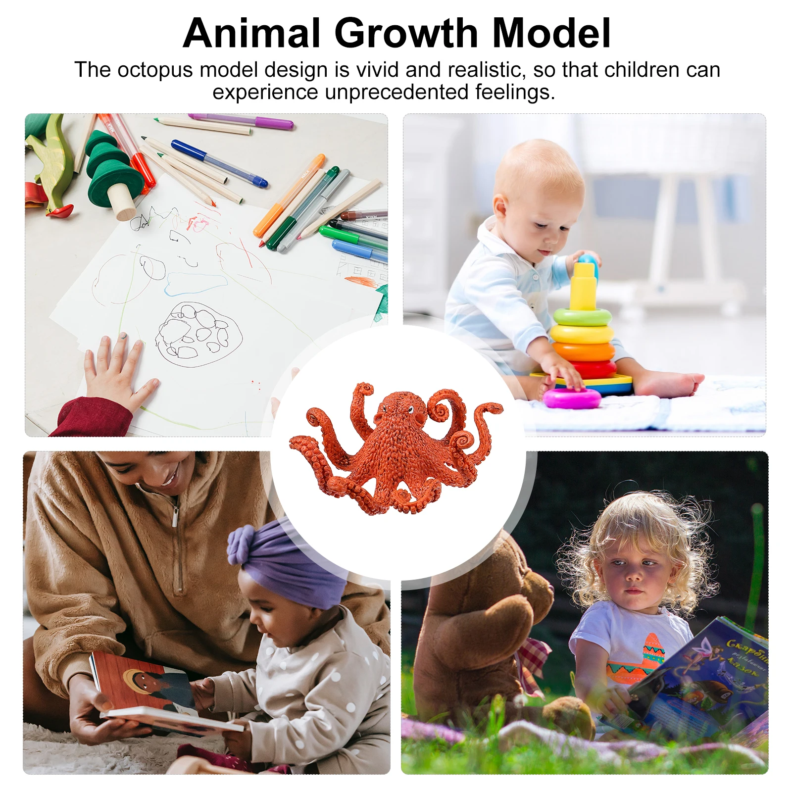 

Animal Growth Model Models Toy Toy Model Set Animal Display Models