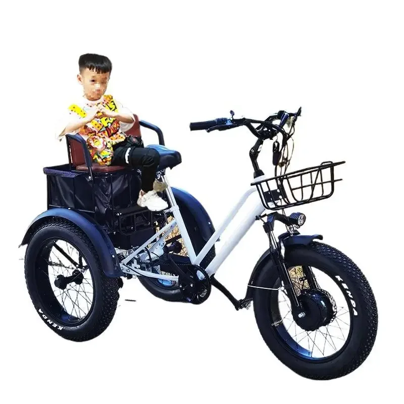 20 inch 48V750W500W pedal power electric tricycle rough tire snow lithium battery tricycle